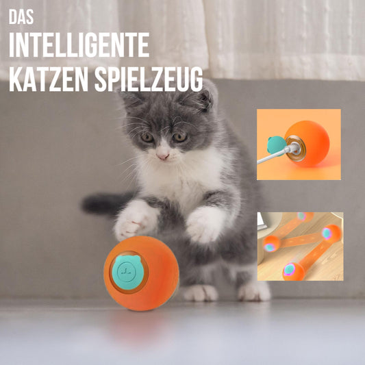 CatBall - Das Intelligente Katzen Spielzeug